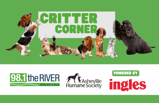 Critter Corner, powered by Ingles